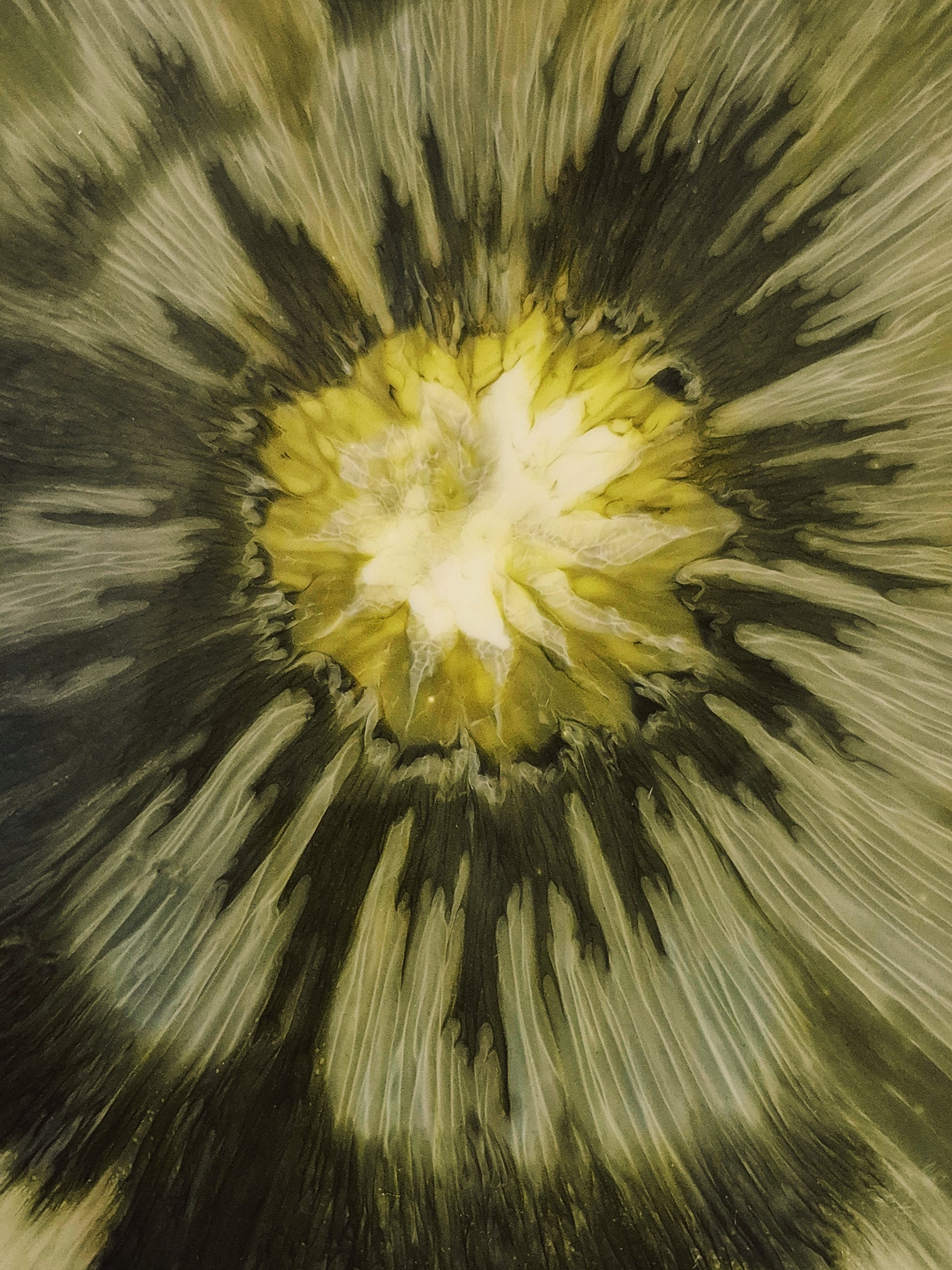 Oberflächenstruktur des Beistelltischs „Verdant Bloom“ in Moos- und Salbeitönen mit goldfarbenem Zentrum und feinen, handgegossenen Farbverläufen aus Epoxidharz.